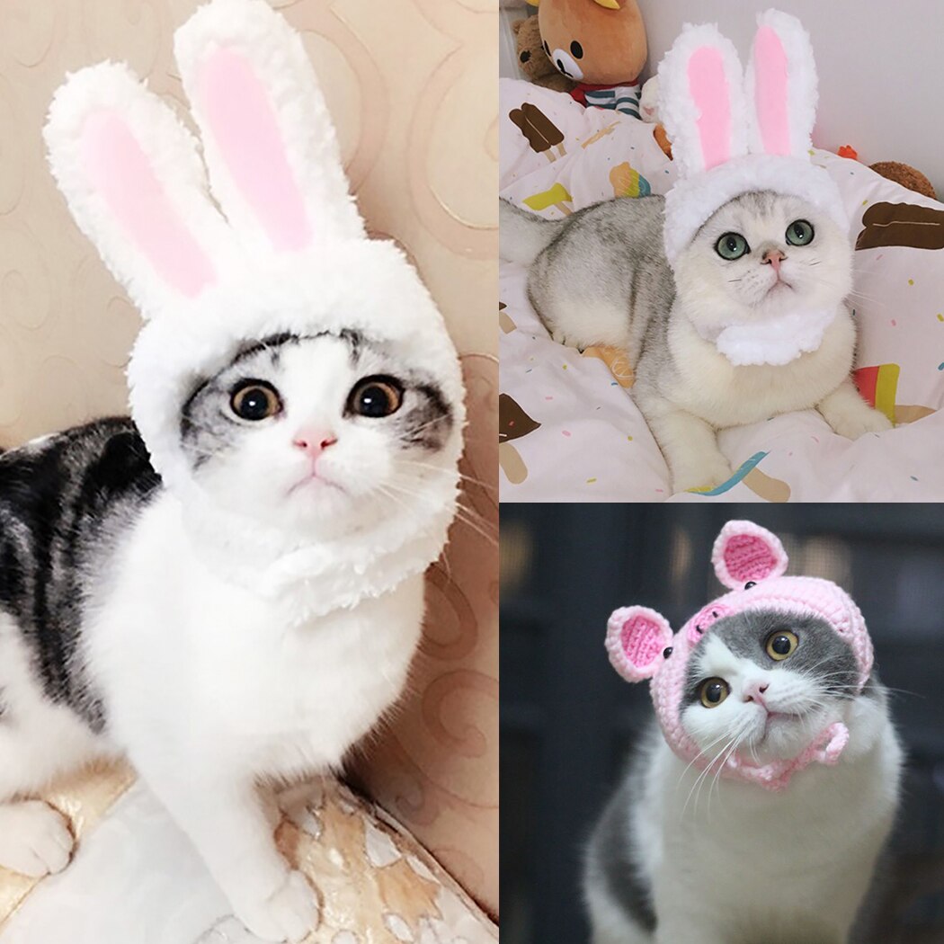 Słodki pies kapelusz zwierząt Kawaii placki czapka ciepłe akcesoria dla zwierząt domowych czapki dla psów czapki zwierząt domowych czapka śmieszne Cosplay dla zwierząt domowych kapelusz dla małych szczeniąt