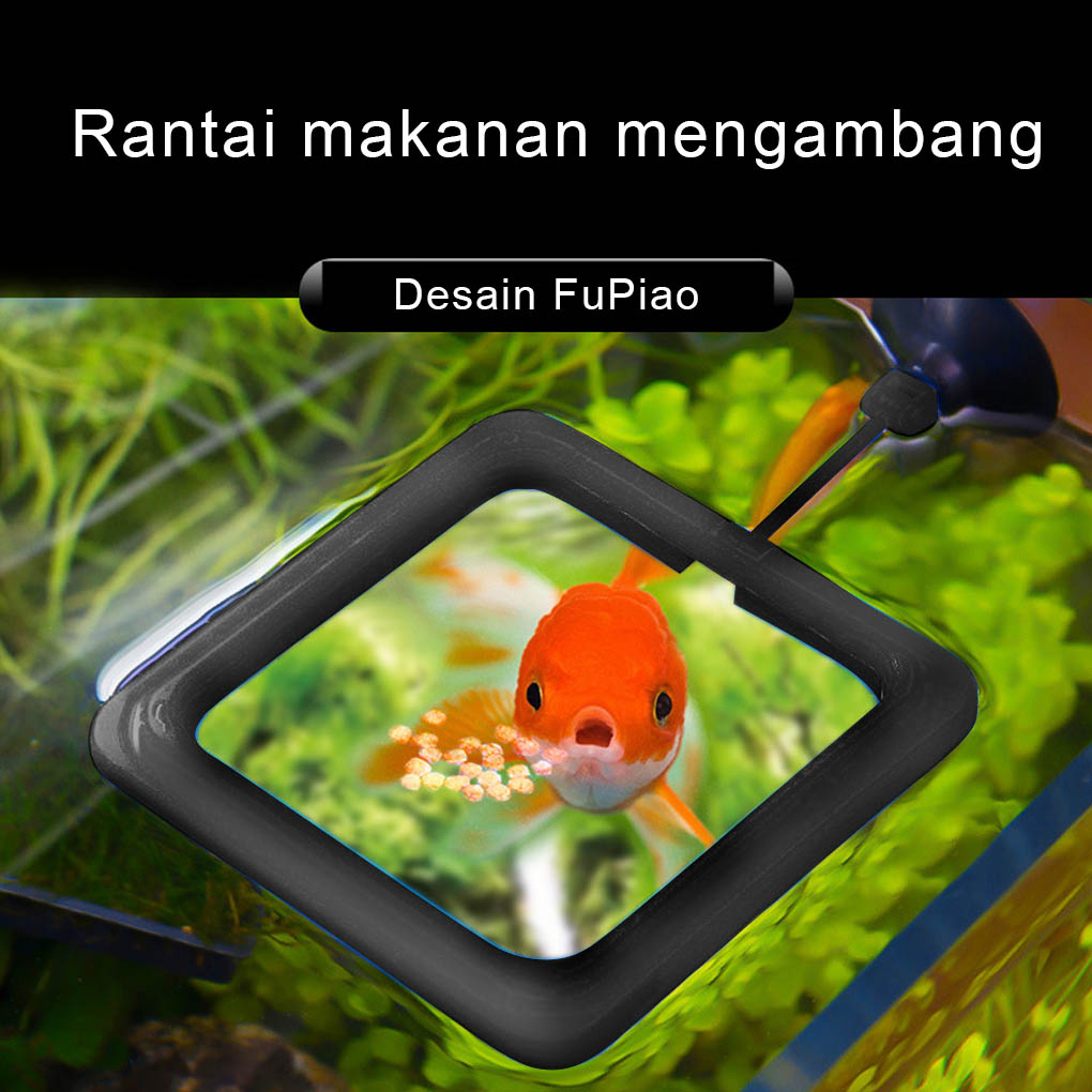Anillo de alimentación para acuario, estación de pecera flotante, bandeja de comida, alimentador circular cuadrado, alimentador de Comida para peces, anillo con ventosa
