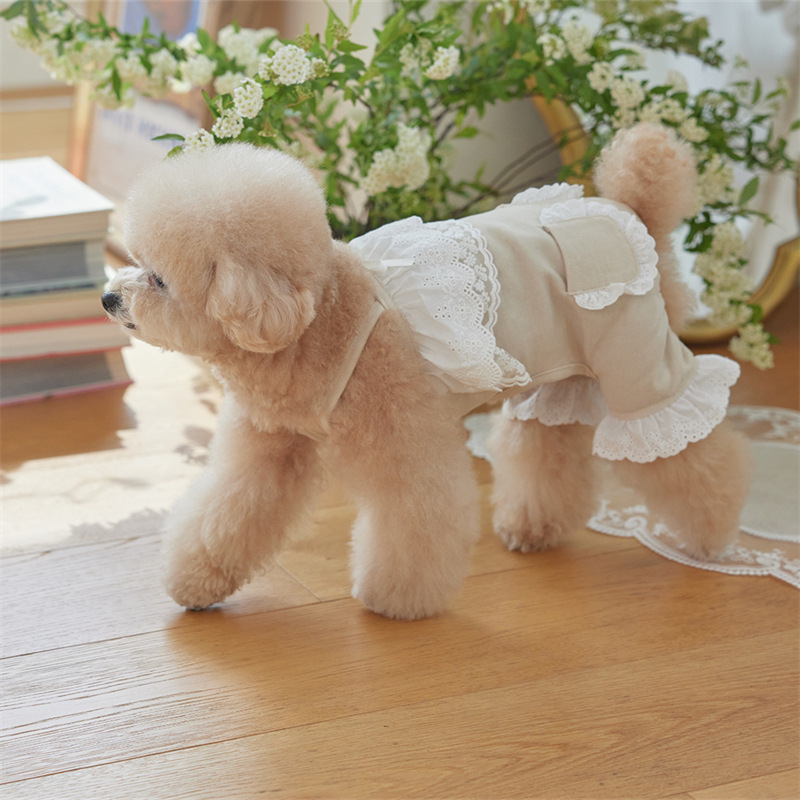 Combinaison en dentelle pour animaux de compagnie, jolie salopette en peluche pour animaux de compagnie, pantalons pour chat, vêtements pour chiots, pyjama pour petits chiens, printemps et été
