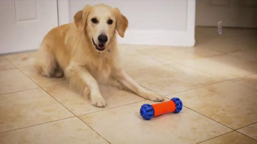 Bobo Bone Electric Dog Toy Smart Bone, Automatic & Interactive Toys for Dogs, Puppy and Cats, App Control, Safe & Durable