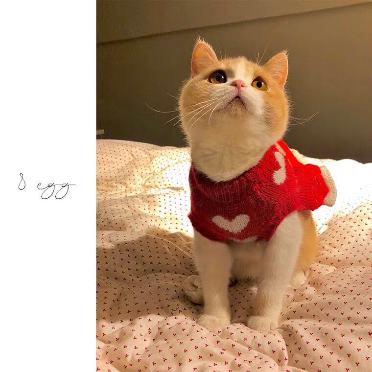 Nueva falda para mascotas, ropa de princesa para pastel de gato, vestido de perro, suéter, corazón rojo, vestido de princesa para gato