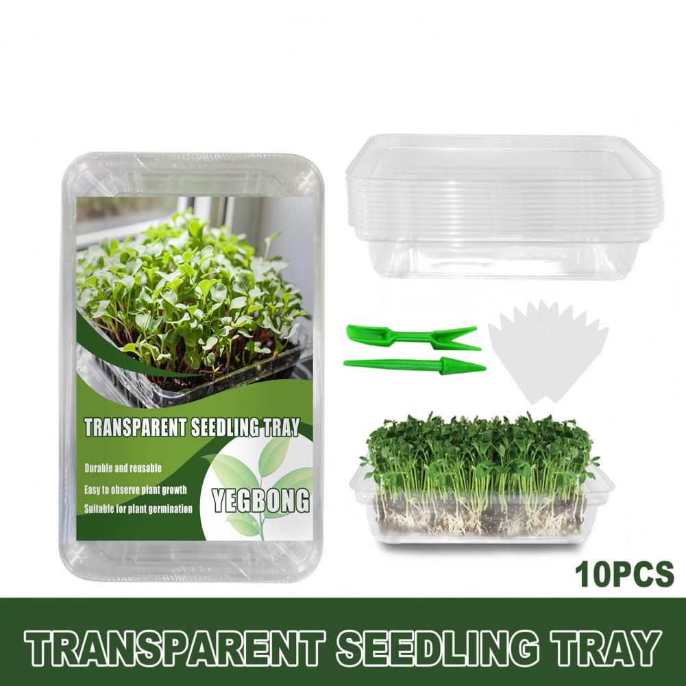 Maceta reutilizable para plantas de vivero, práctica, novedosa, ahorro de espacio, Visible, en patio para plantación, 1 Juego