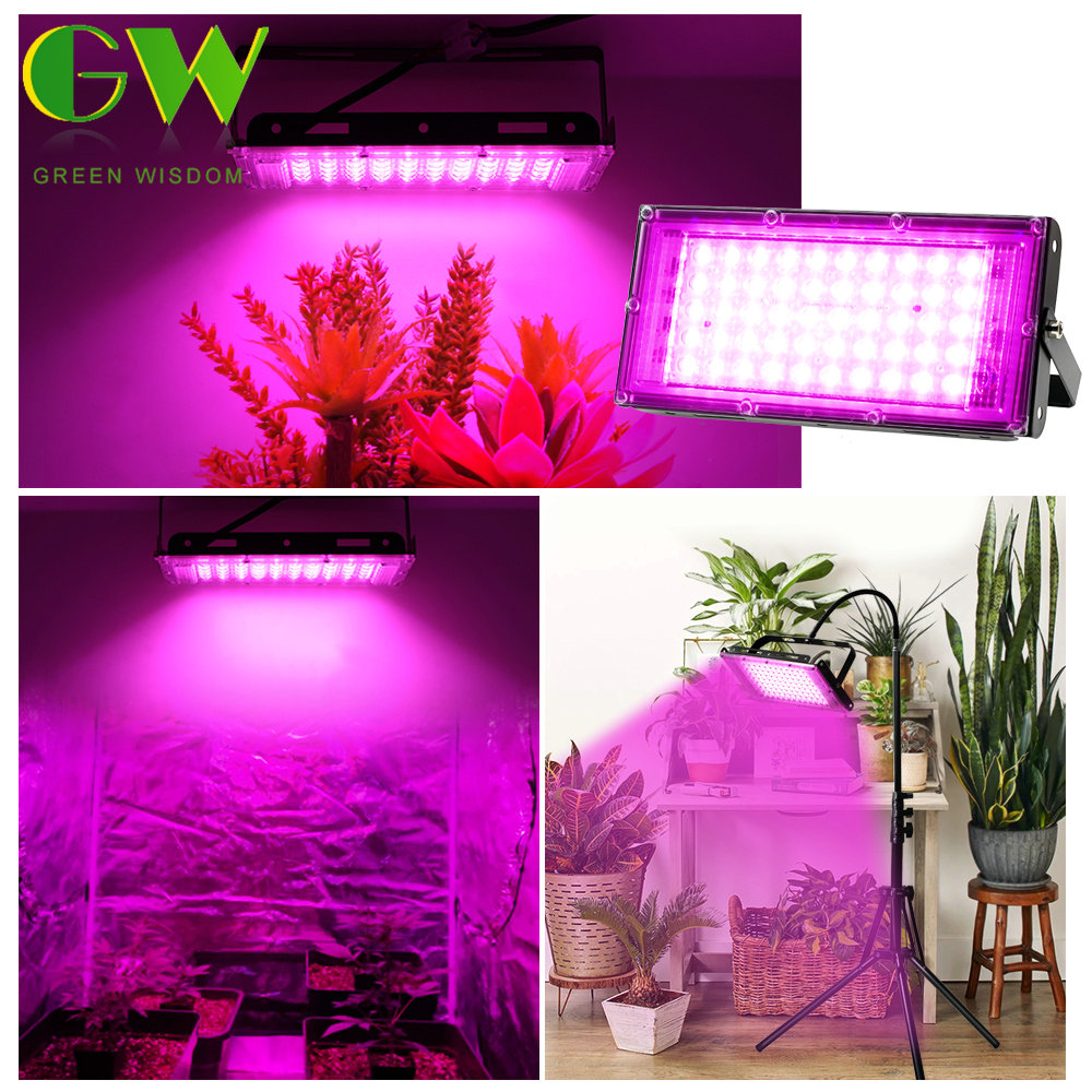 LED Grow Lights for Indoor Plants AC 220V Phyto Lamp with Stand 50W 100W 200W Full Spectrum Plant Flood Light for Veg Greenhouse
