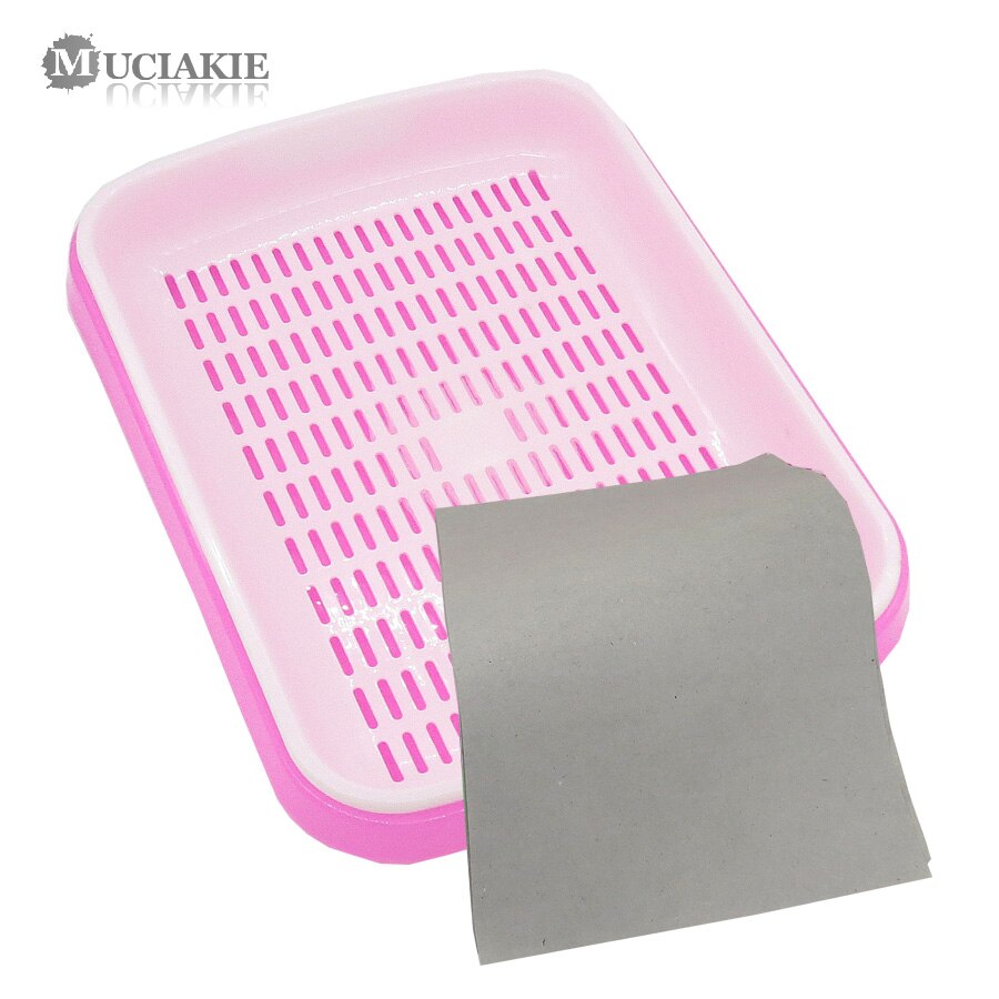 MUCIAKIE 1 LOT Bean Spruit Plaat Zaailingen Lade Dubbele Lagen Planten Gerechten Groeiende Tarwe Zaailingen Kwekerij Potten Thuis Tuin: Pink x AB702C