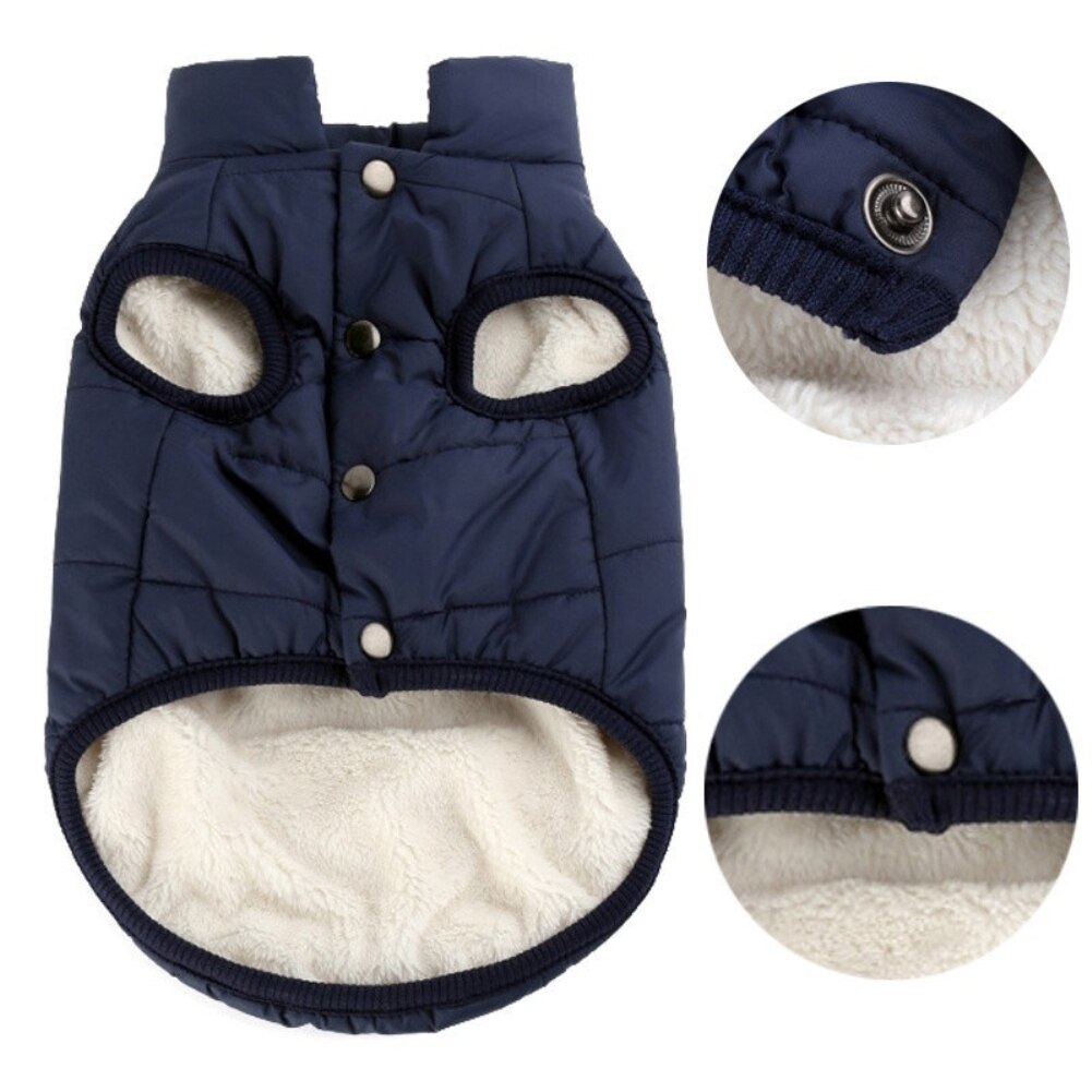 Chien Hiver/Printemps/Automne Pull-over capuche Animal Manteau Pâle Vert XS