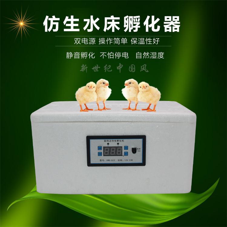 Incubadora biónica silenciosa de ahorro de energía EPS, herramientas de incubación portátiles de 22 huevos, 12V/25% V, Mini termostato, 220