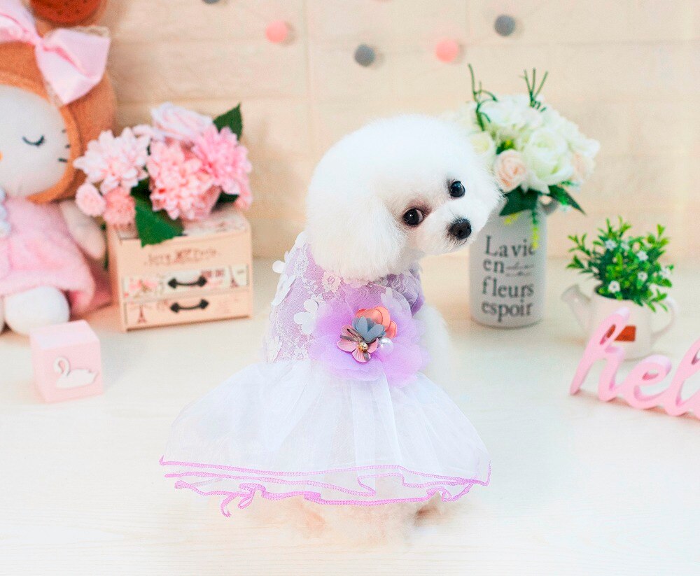 vestido de encaje para perros de compañía a la con estilo de Ballet de ensueño vestido para perros ropa para perros