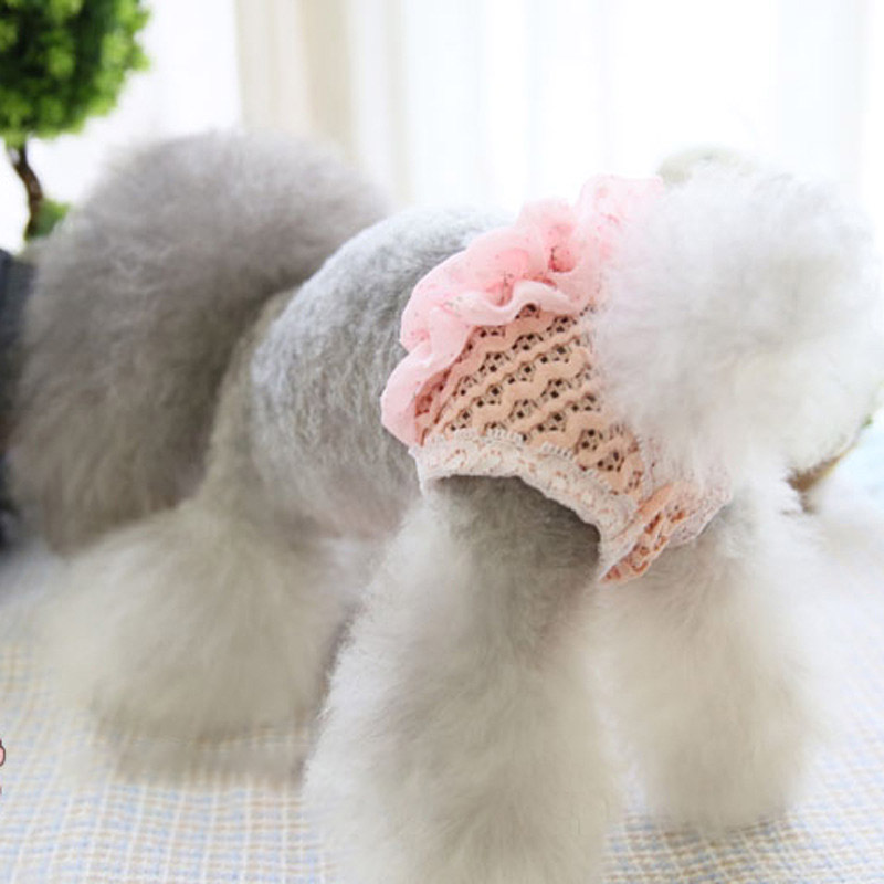 Pantalones higiénicos para perro y mascota, ropa interior, bragas fisiológicas, de algodón, para Chihuahua