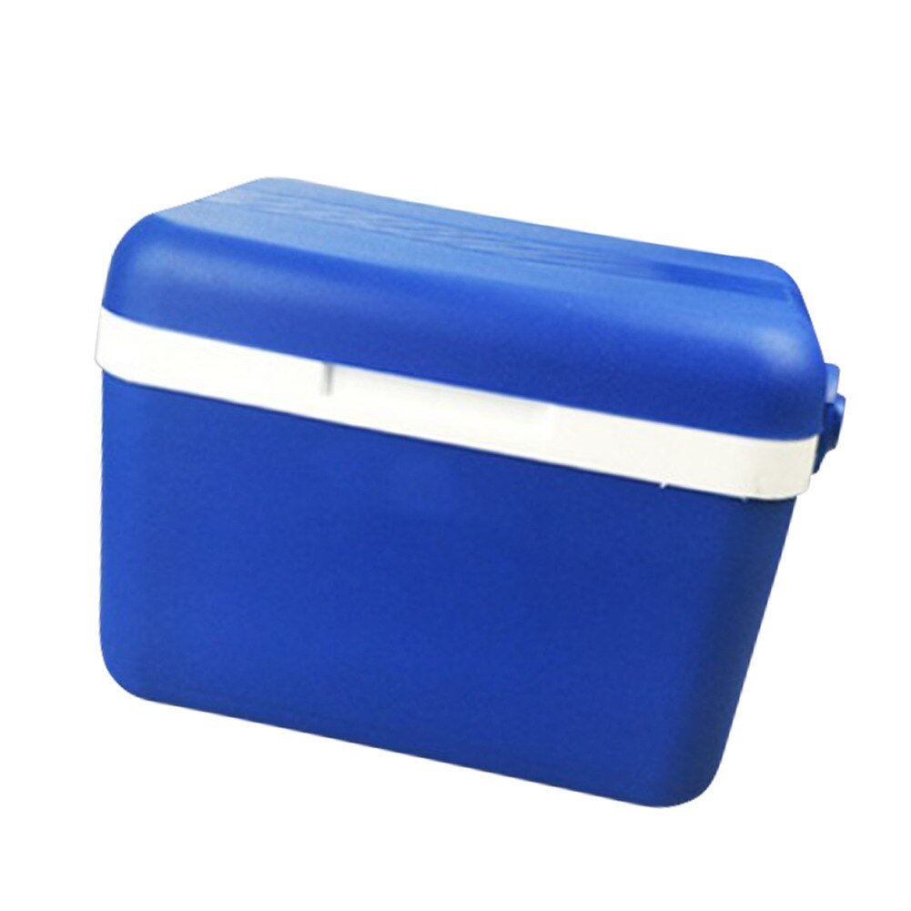 3L/8L Car Insulation Box Outdoor Car Cooler Box Ice Organizer Medicine Preservation Box Home Barbecue Fishing Box: 8L Blue