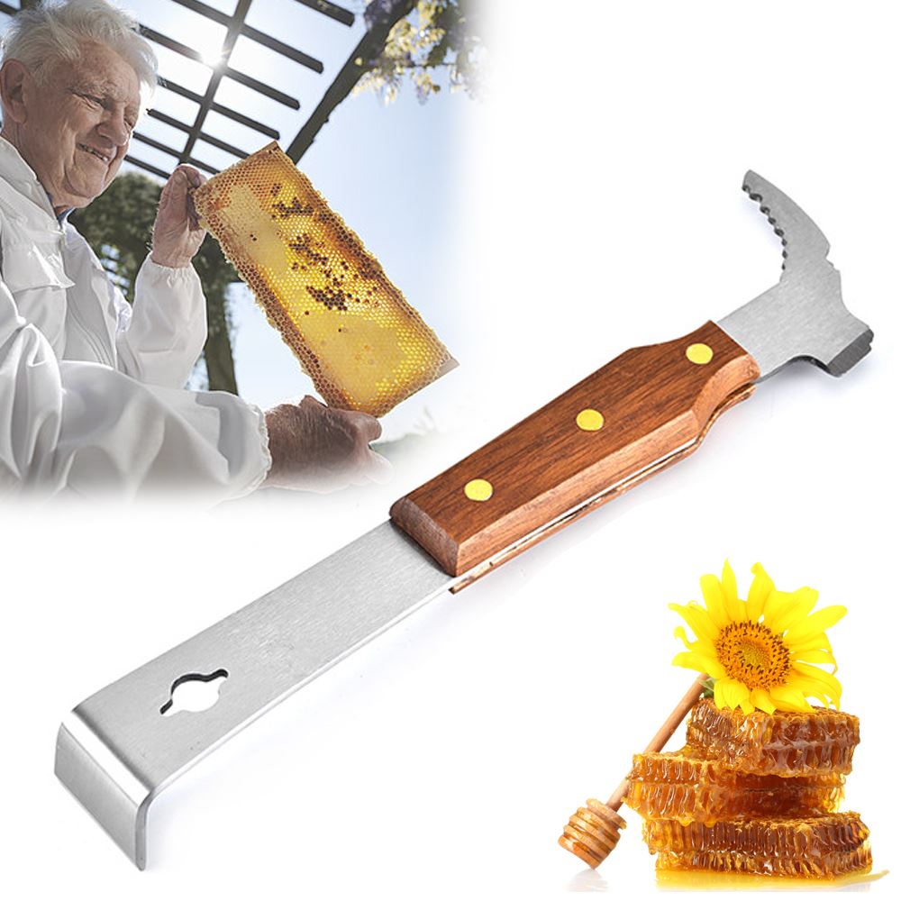 1 piezas estándar espátula de acero inoxidable de polen de abeja pala apiario traje de apicultor apicultura herramientas colmenas equipo