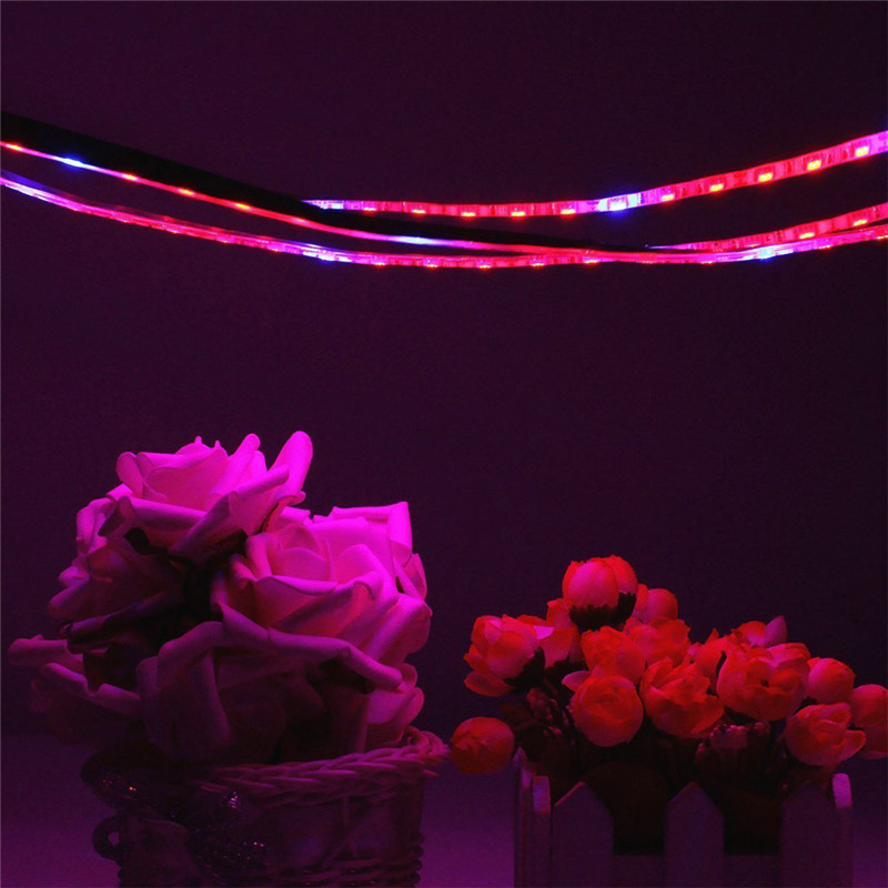 LED Grow light Full Spectrum 1M 4M 5M LED Strip 5050 LED Flower Plant Phyto Growth lamps For Greenhouse Hydroponic Plant Growing