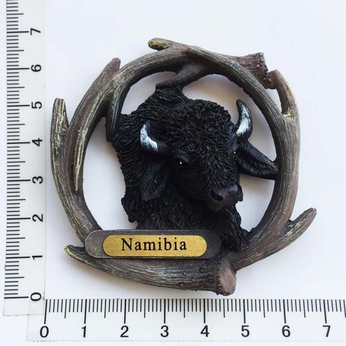 Afrika namibia turist køleskab magnet souvenir 3d harpiks køleskab magneter til køkken tilbehør dekoration hjem: 5