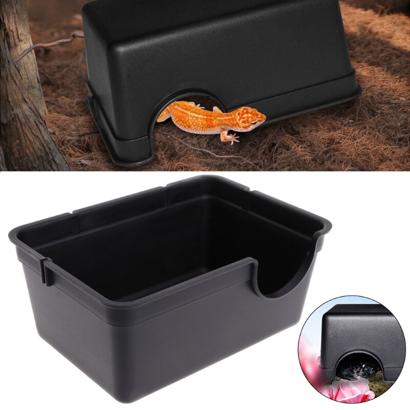 Photo inspiration: Picture Idea: Reptile Box Hiding Case Hole Water Feeder Spider T