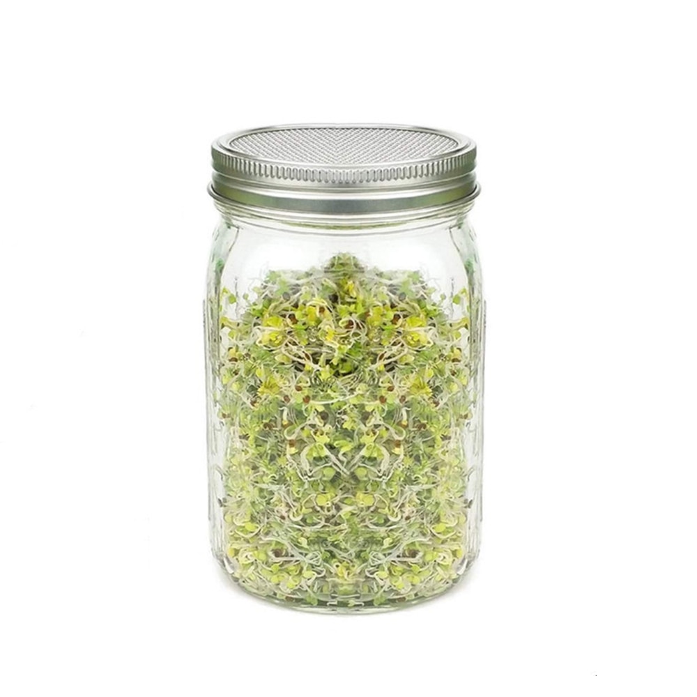1Set Seed Sprouter Germination Cover Kit Sprouting Mason Jars with Stainless Steel Strainer Lids Stainless Steel Germinator