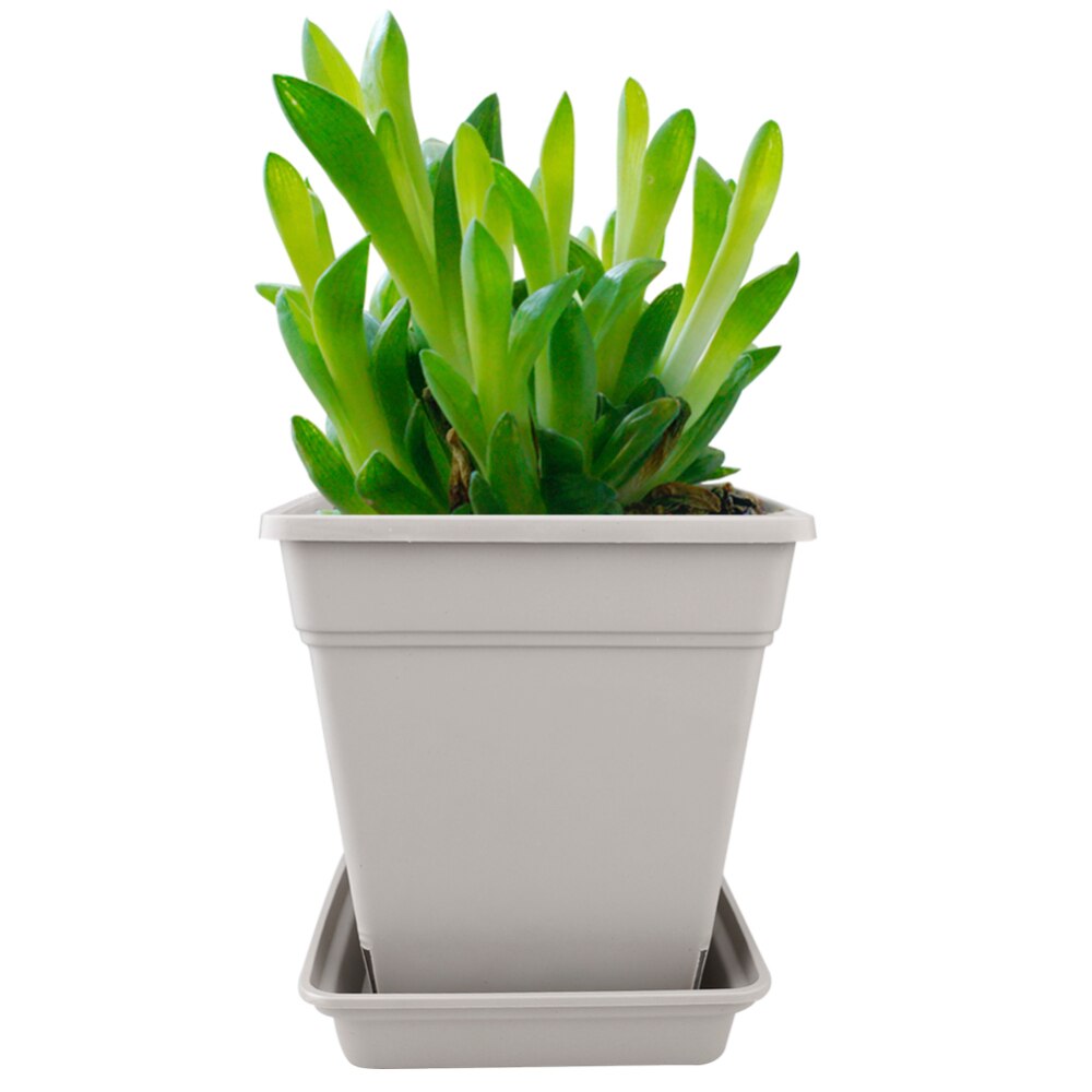 Luxshiny 2 Sets High-Grade Resin Orchid Flowerpots With
