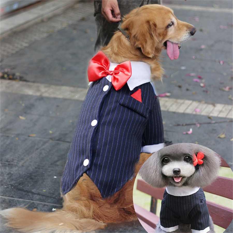 Stribet stor hundedragt formel smoking stort kæledyrstøj butterfly bryllup middagsfest hanhund kostume skjorte festival jakke (2xl-9xl)