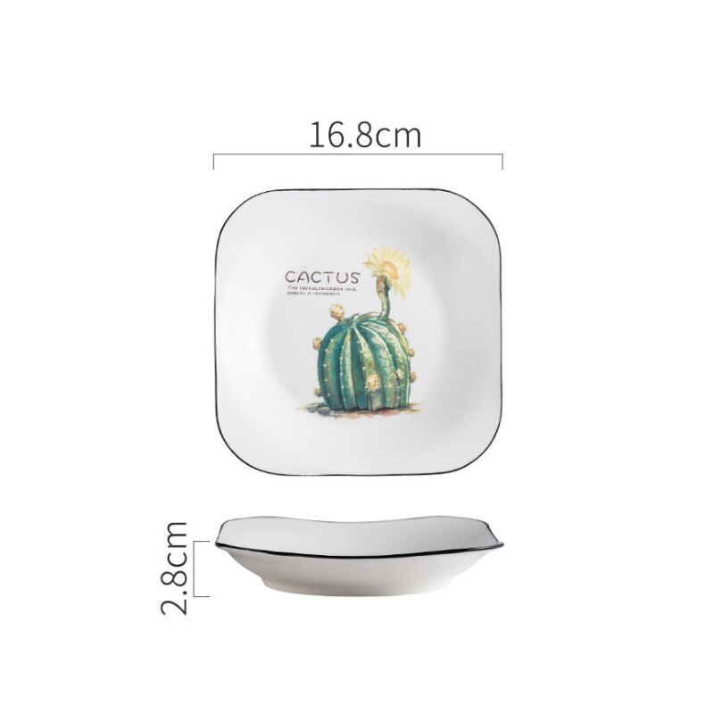 Vierkant porseleinen bord, cactus, dessertbord, broodbord, fruitsaladebord, scandinavisch ontbijtbord, botervloot, keukenservies: Ds