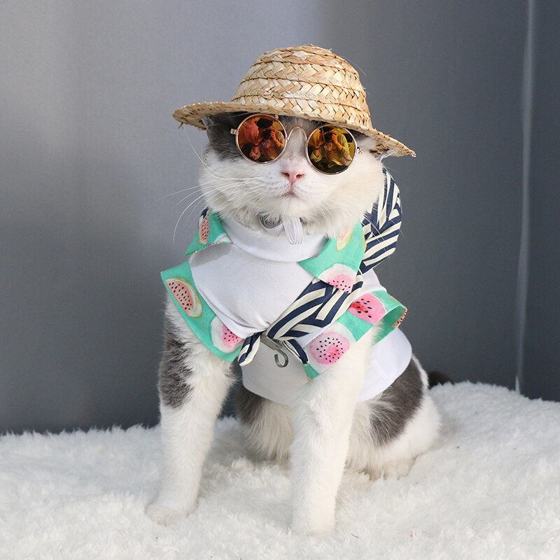 Huisdier product Kat Zonnebril Hond Bril Dierbenodigdheden Voor Puppy Kleine honden Dog Cat Eye Bescherming Zonnebril