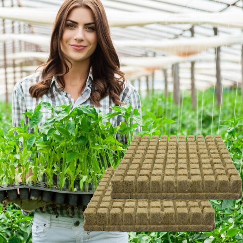 50Pcs Soilles Plantin Sponge Planting Grow Groden Starter Cubes Rockwool Media Spread Cloning Rock Wool Cubes 25x25x40mm