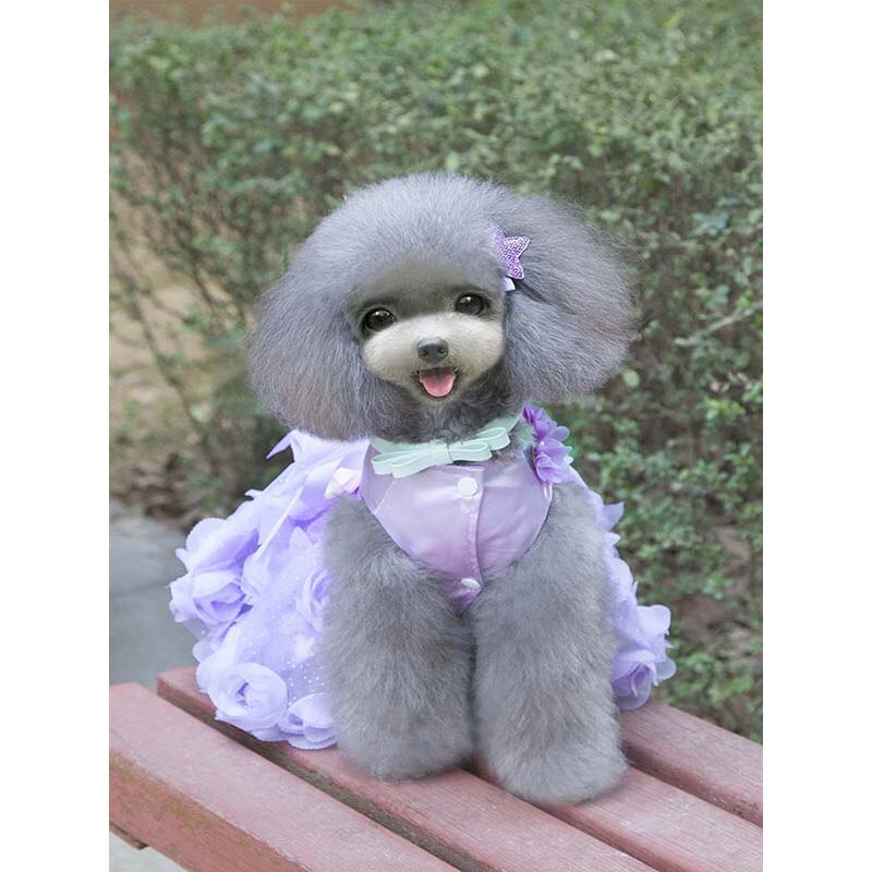 Pet Clothes Pet Dress Pure Color Breathable Cool Spring And Summer Dress Skirt Thin Section Rose Princess Teddy