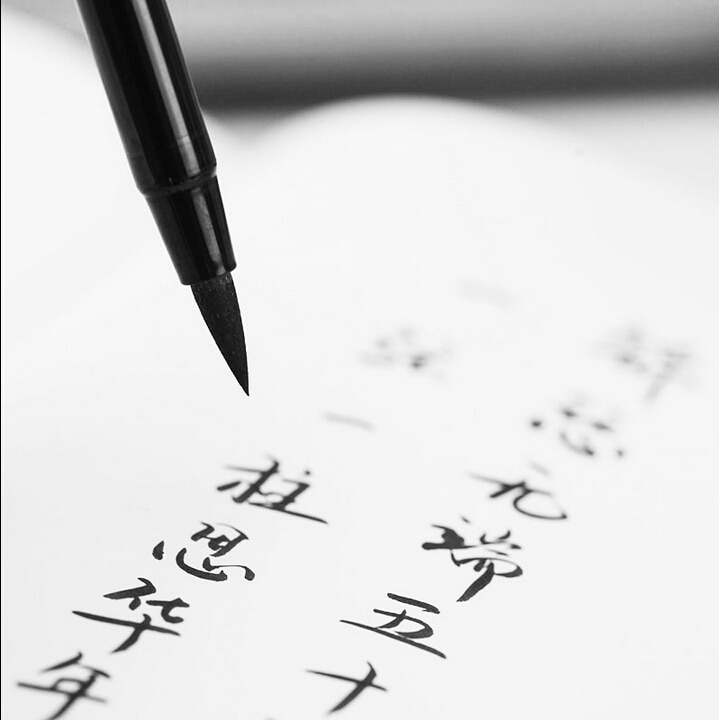 premium calligraphy pen medium regular script quick drying calligraphy brush Platinum CF-200CA