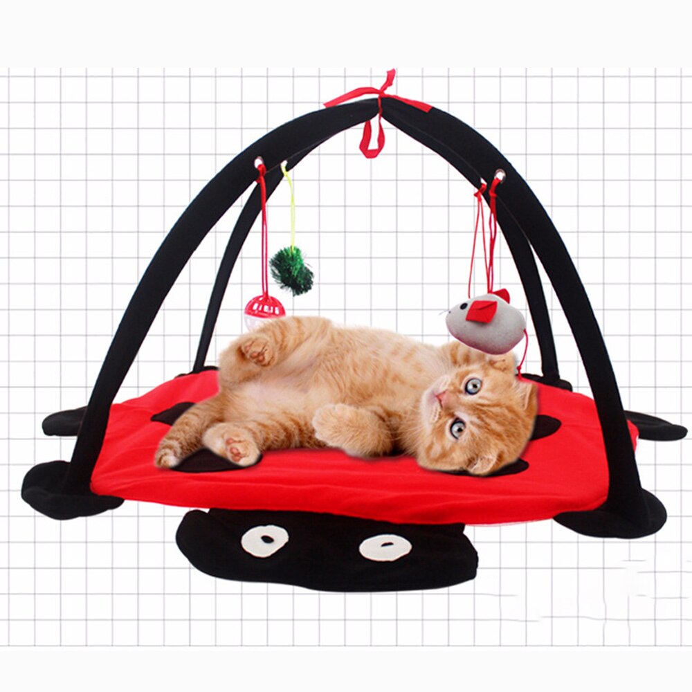 Juego plegable de tiendas de gatitos divertidos y Gato, cama de juegos para mascotas, juego de gatos, manta, Casa con juguete colgante, forma de bonito Escarabajo