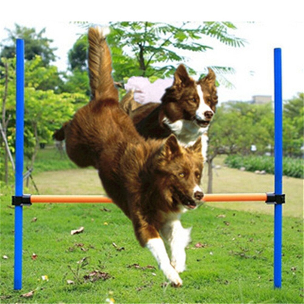 Kæledyr hunde spil træningsudstyr smidig barriere bar kæledyr træning legetøj hunde hoppe højt legetøj kæledyr legetøj sport