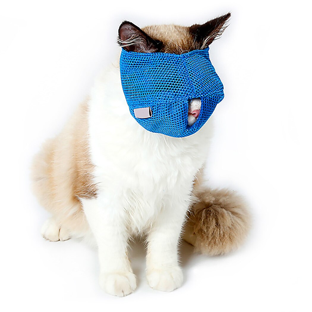Muselière multi-fonction pour chat | Protection pour la bouche du chat, muselière Anti-morsure et respirante pour animaux de compagnie, outil de toilettage pour chats, directe: Blue / S