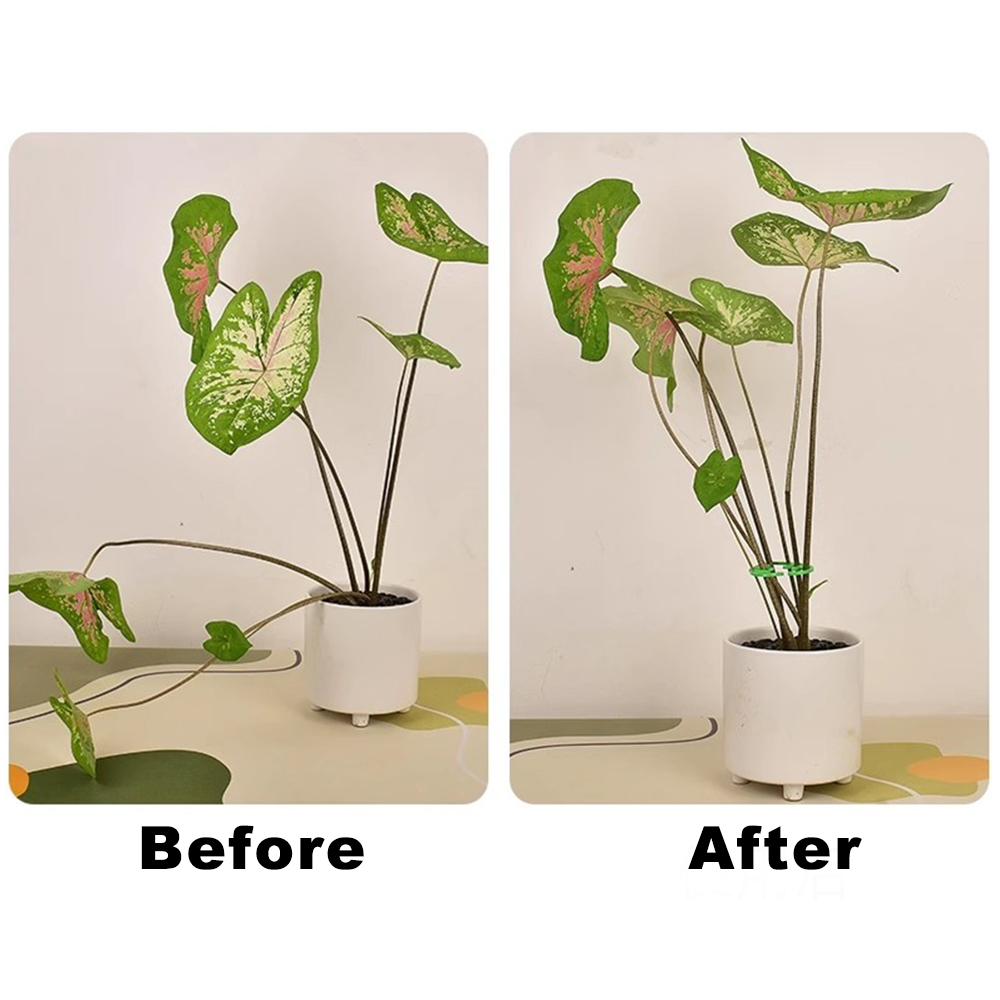 Estacas de soporte para tallo de planta de hoja, soporte para planta de interior trepadora, marco de plástico para jardín, sin estaca, enrejado, soporte para plantas de interior, aros