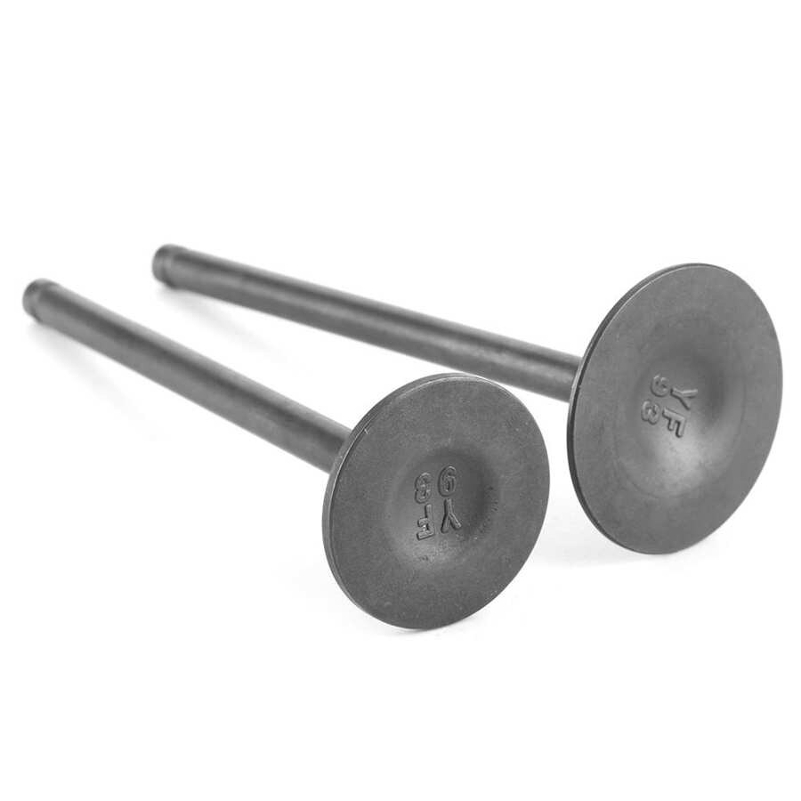FOR ZS CB 250cc Engine Intake Exhaust Valves PIT P... Grandado