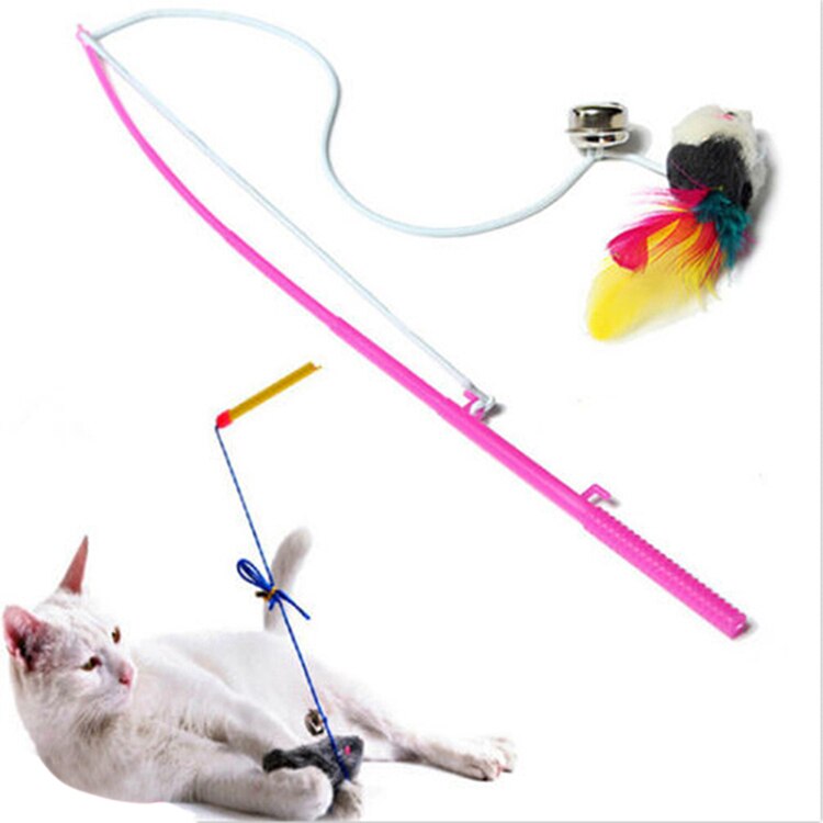 Leuke Staaldraad Plaagveer Wand Plastic Speelgoed Huisdier kat Speelgoed Voor Katten Kleur Multi Producten Voor Pet