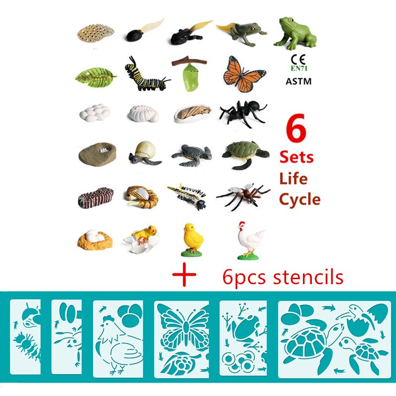 6 Sets Simulation Animal Life Cycle Growth Model Butterfly Frog Turtle Chick Ant Stencils Drawing Board Biology Teaching Tools: 6 model and stencil