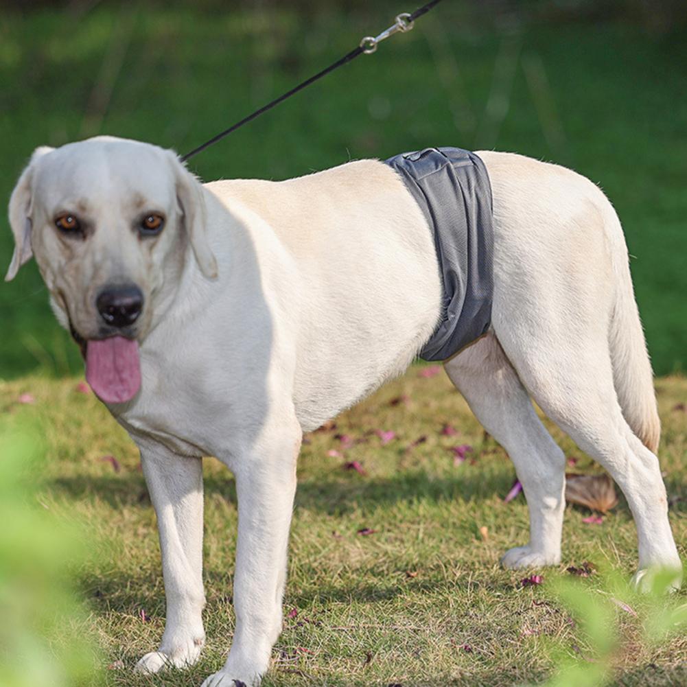 Dogs Diapers Anti-Harassment Fastener Tape Pet Diapers Pants Solid Color Dogs Diapers Wraps for Home Use Puppy Pants