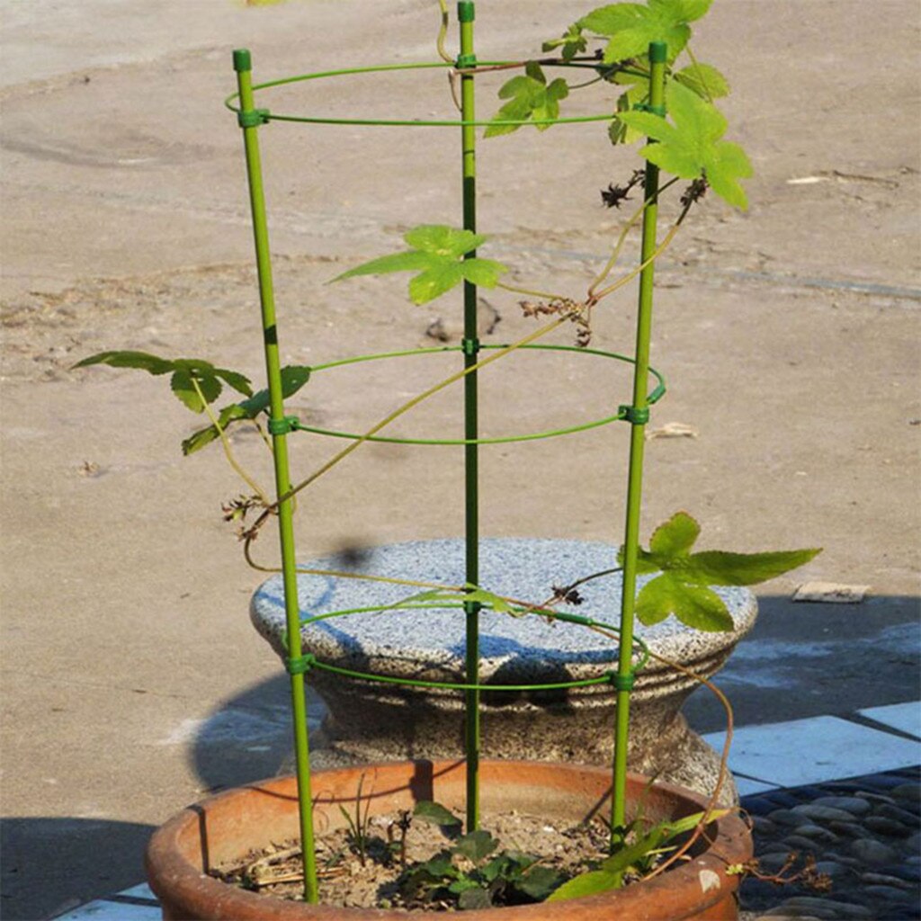 Undefined Plant Support Stakes, Garden Single Stem Support Stake Plant Cage Support Rings For Amaryllis Tomatoes Orchid