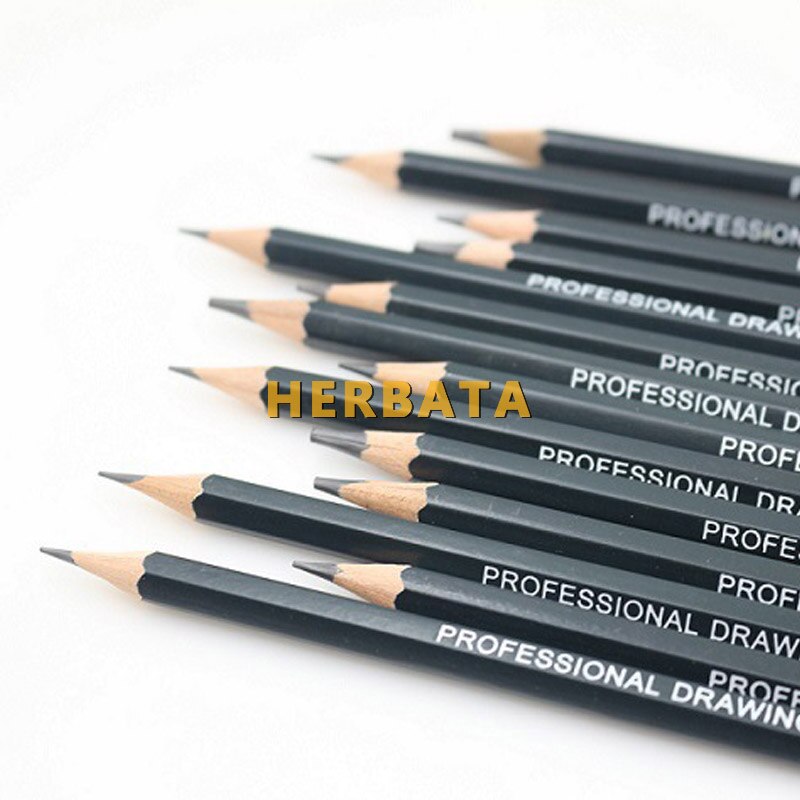 Artist 14Pcs/set Graphite 2H-8B Sketch Pencil Set For Pencil Drawing Tools Charcoal Pencils Set Art Supplies
