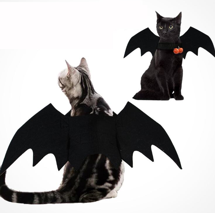 Kat kostume kat halloween kostume frakke halloween kat kostumer til kæledyr kæledyr cosplay tøj bat vinger sort fancy kjole