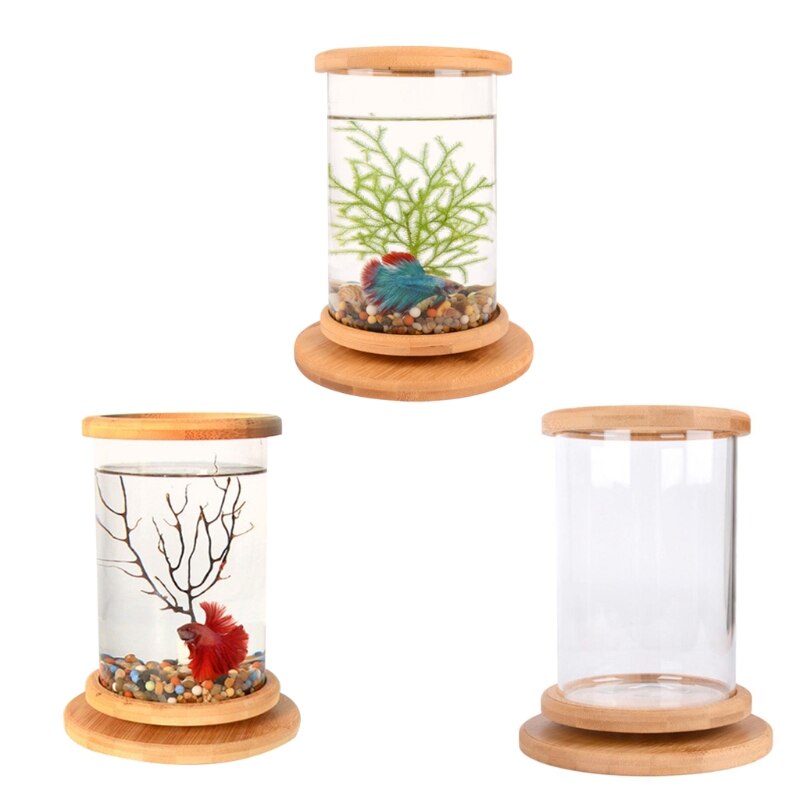 Betta-pecera de escritorio con Base de madera para peces pequeños, Recipiente cilíndrico de vidrio transparente con vista de 360 °, 3 tipos