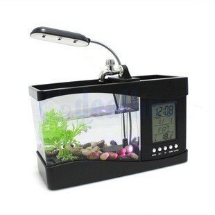 Mini Aquarium Usb Led Lampe Mduse, Veilleuse Ocean Led,aquarium