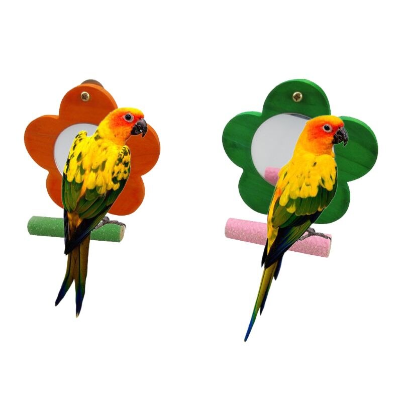 Miroir à perroquet pour oiseaux | Avec personnage pour Conure, Cage à sable, support de broyage de patte, couleur aléatoire 449E