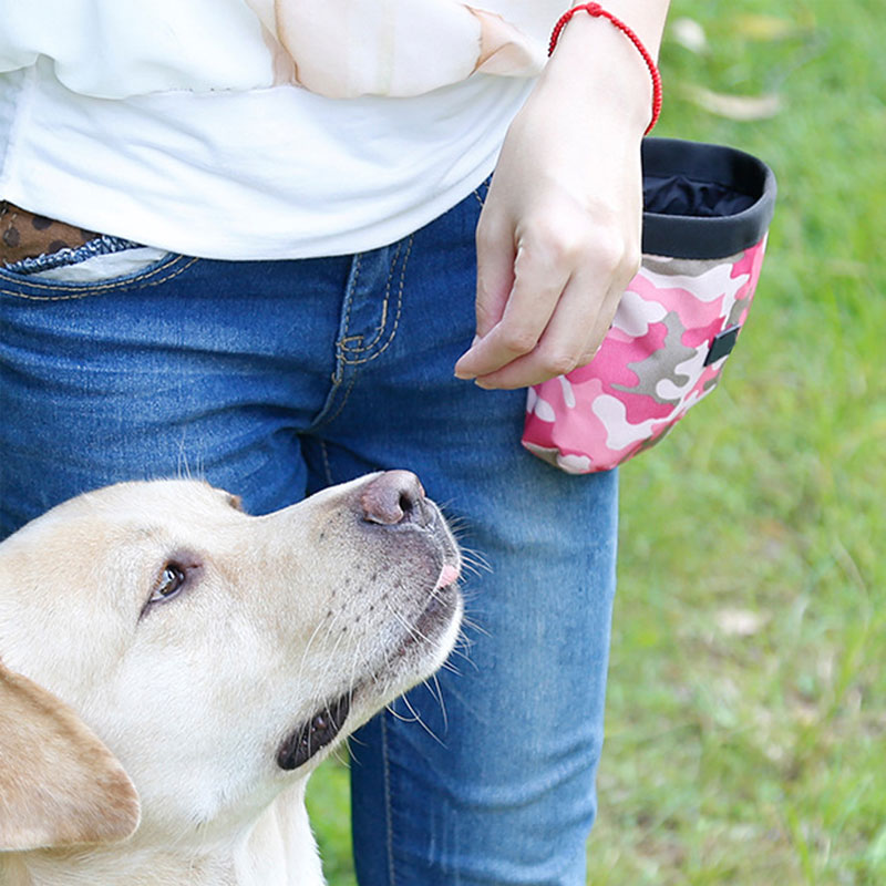 Grønn/rosa kjæledyr hund valp veske gå mat godbit snack bag smidighet agn treningslommer midje oppbevaring hold mat container bag