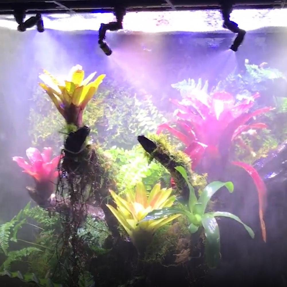 Krybdyr tåge sprinkler fogger regnskov 360 justerbart akvariesystem tilslut 1/4 '' kar