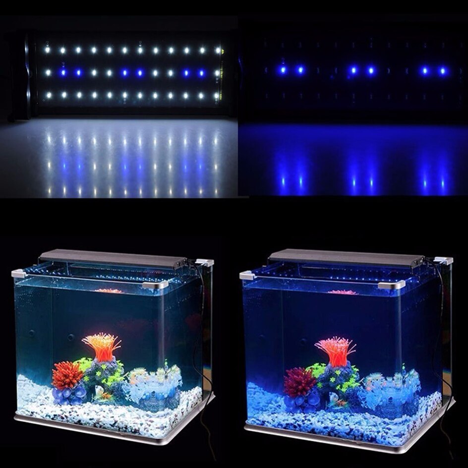 Nicrew Aquarium Led Verlichting Aquarium Licht Lamp Met Uitschuifbare Clip On Lamp Beugels 90 Wit &amp; 18 Blauw Leds past Voor Aquarium