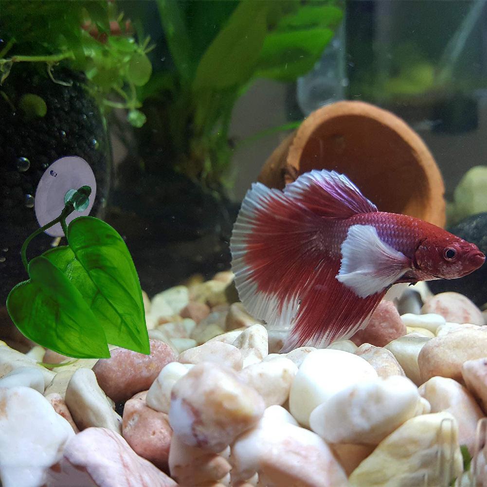 Betta Fish Leaf Pad Simulating The Natural Habitat Aquarium Fish Tank Decoration for Betta Spawning Grounds Breeding Resting Bed