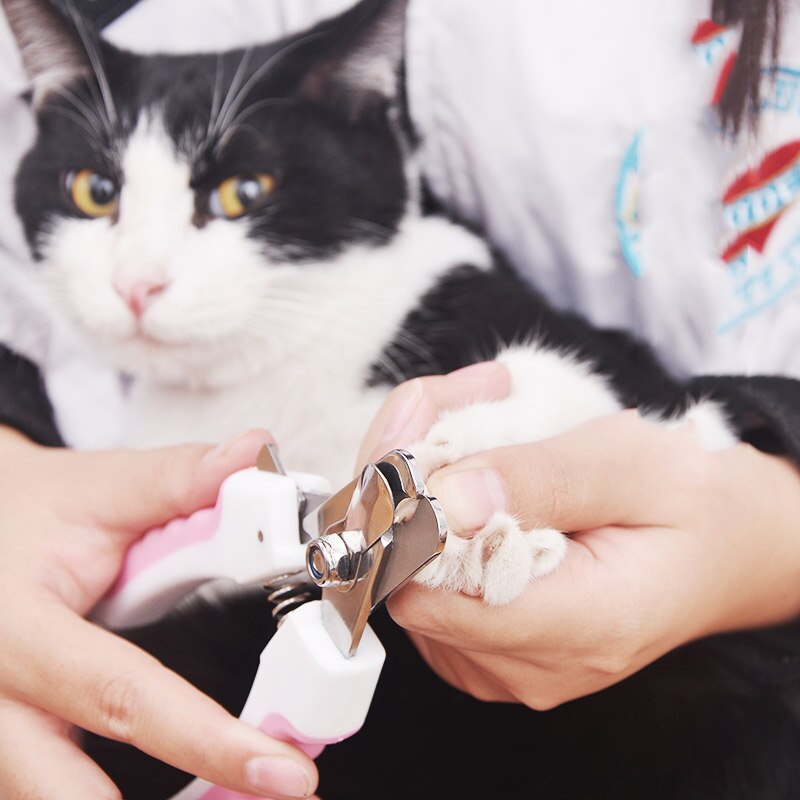 Tijeras para cortar uñas de mascotas, tijeras para uñas del pie para perros y gatos, recortador, herramientas de aseo para animales, suministros para mascotas