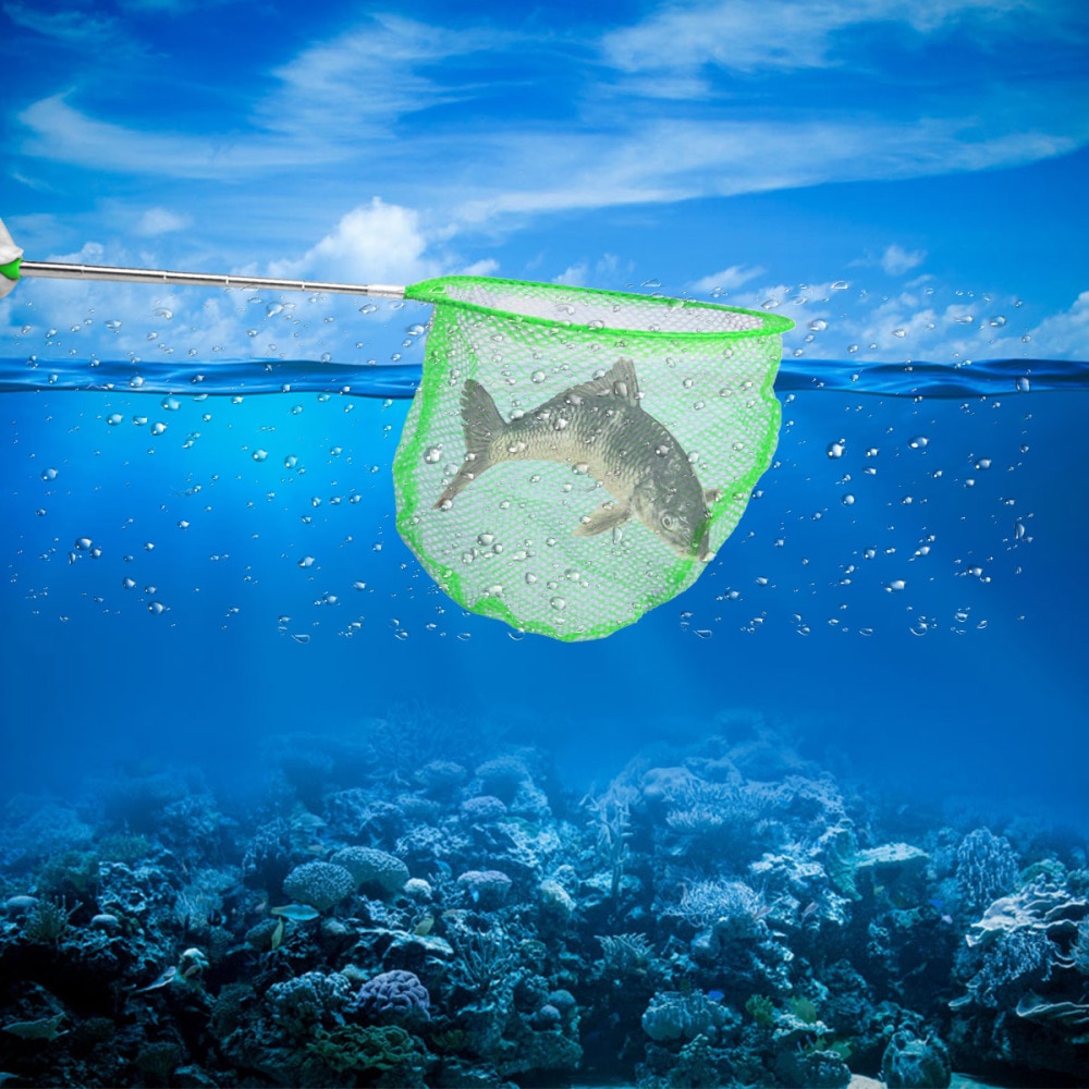 3 stuks telescopische visnetten vlindernetten insectenvangnetten insectenvangnetten geweldige buitengereedschappen voor kinderen (willekeurige kleur)