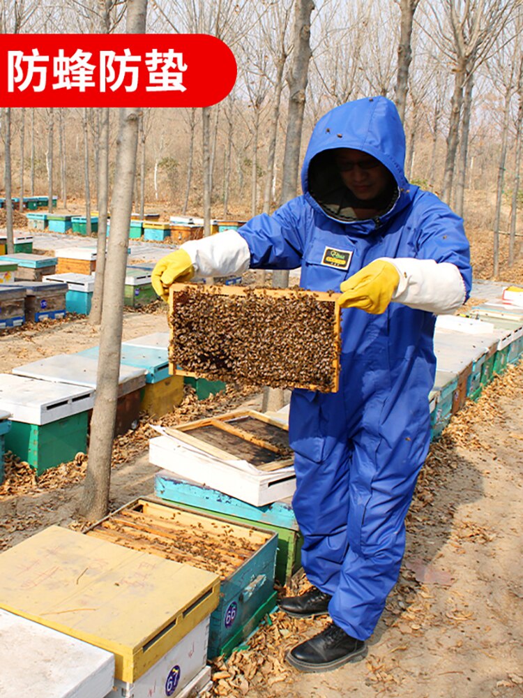 Traje de apicultura de abejas, Colthes, equipo de colmena, traje de apicultor, herramientas de apicultura multifuncionales, monos de jardinería, 1 pieza