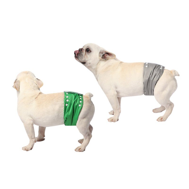 Cane Pantaloni Pannolino Riutilizzabile Lavabile Cane Fisiologici Shorts Durevole Comodo Biancheria Intima Slip Pantaloni Per Cani Chihuahua