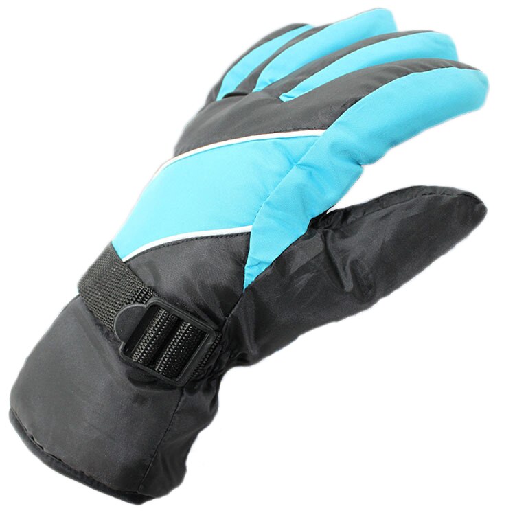 Warm Mannen Waterdicht Winddicht Outdoor Wanten Handschoenen Vijf Vingers Thermische Skiën Klimmen Fietsen Wandelen Sport: Blue