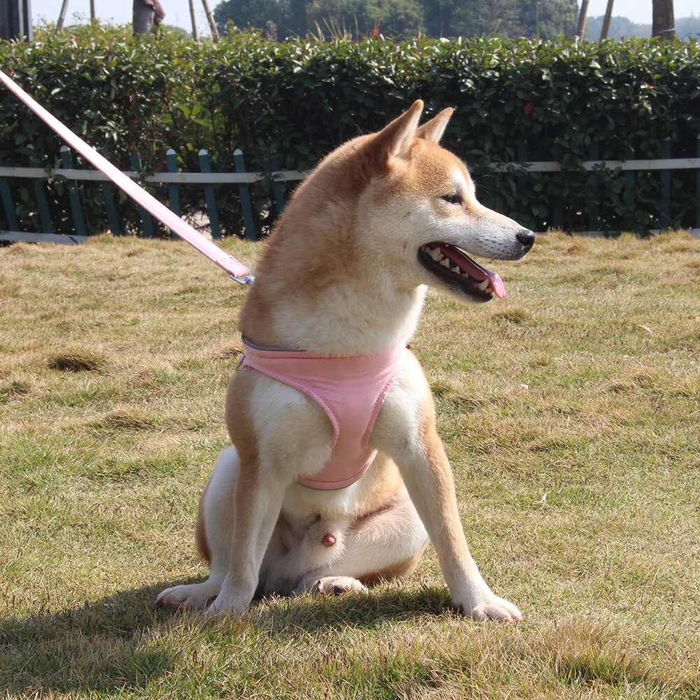 Pet Dog Puppy Reflective Adjustable Outdoor Training Walking Safety Vest Harness