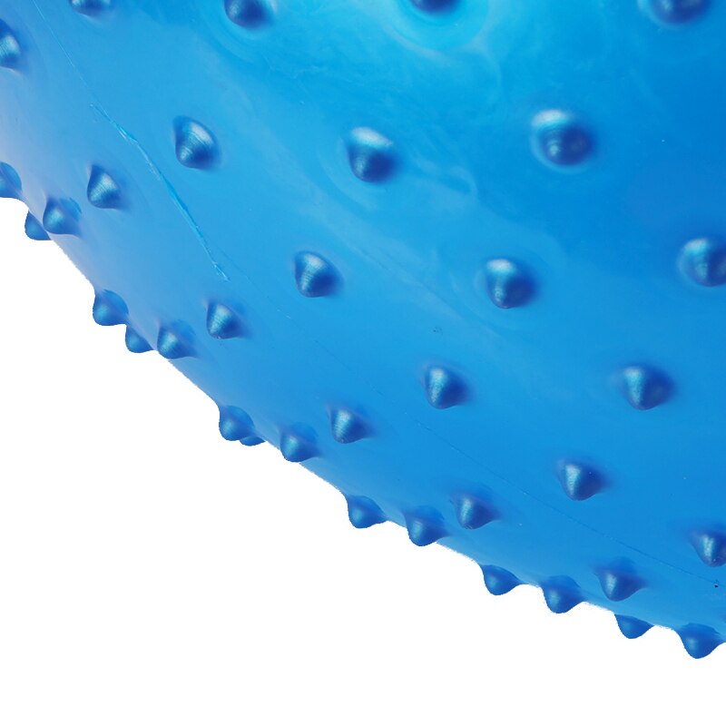 65cm Anti-burst Yoga Ball Balance Fitball Massage Training Workout Exercise Ball Thickened Stability Pilates Fitness Ball